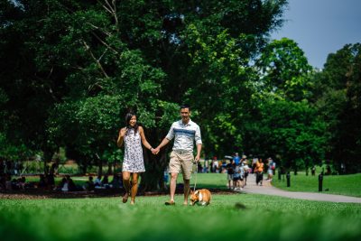 ayurveda in der Großstadt mit Paar und Hund auf Spaziergang im Park